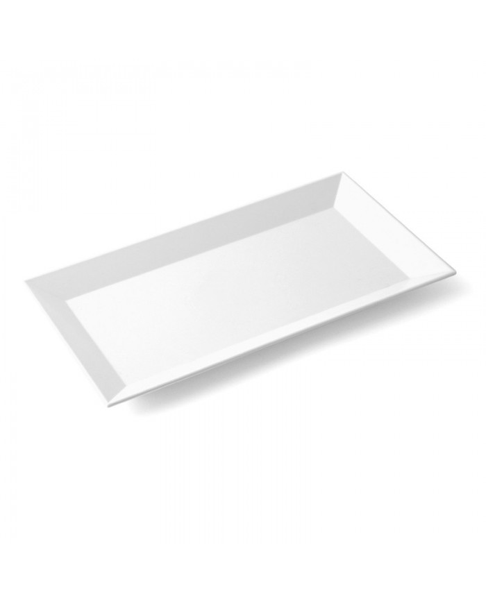 Plat glaciere 30x16,8x2cm