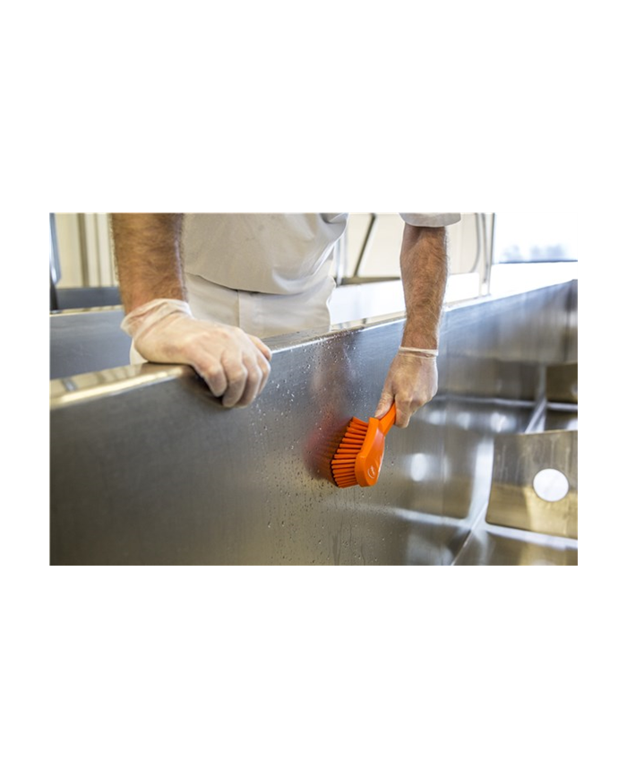 Brosse à manche court