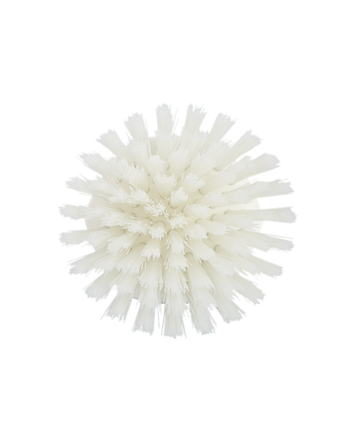 Brosse ronde Brosse ronde