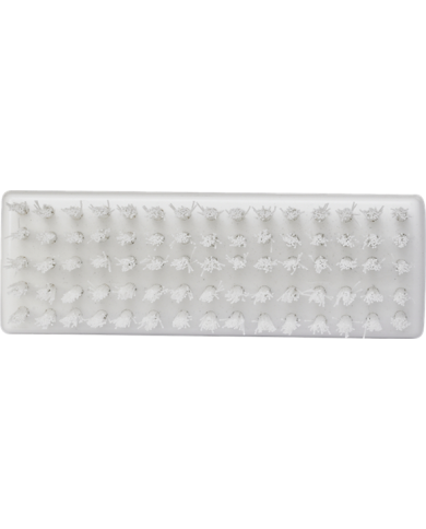 Brosse à ongles Brosse à ongles